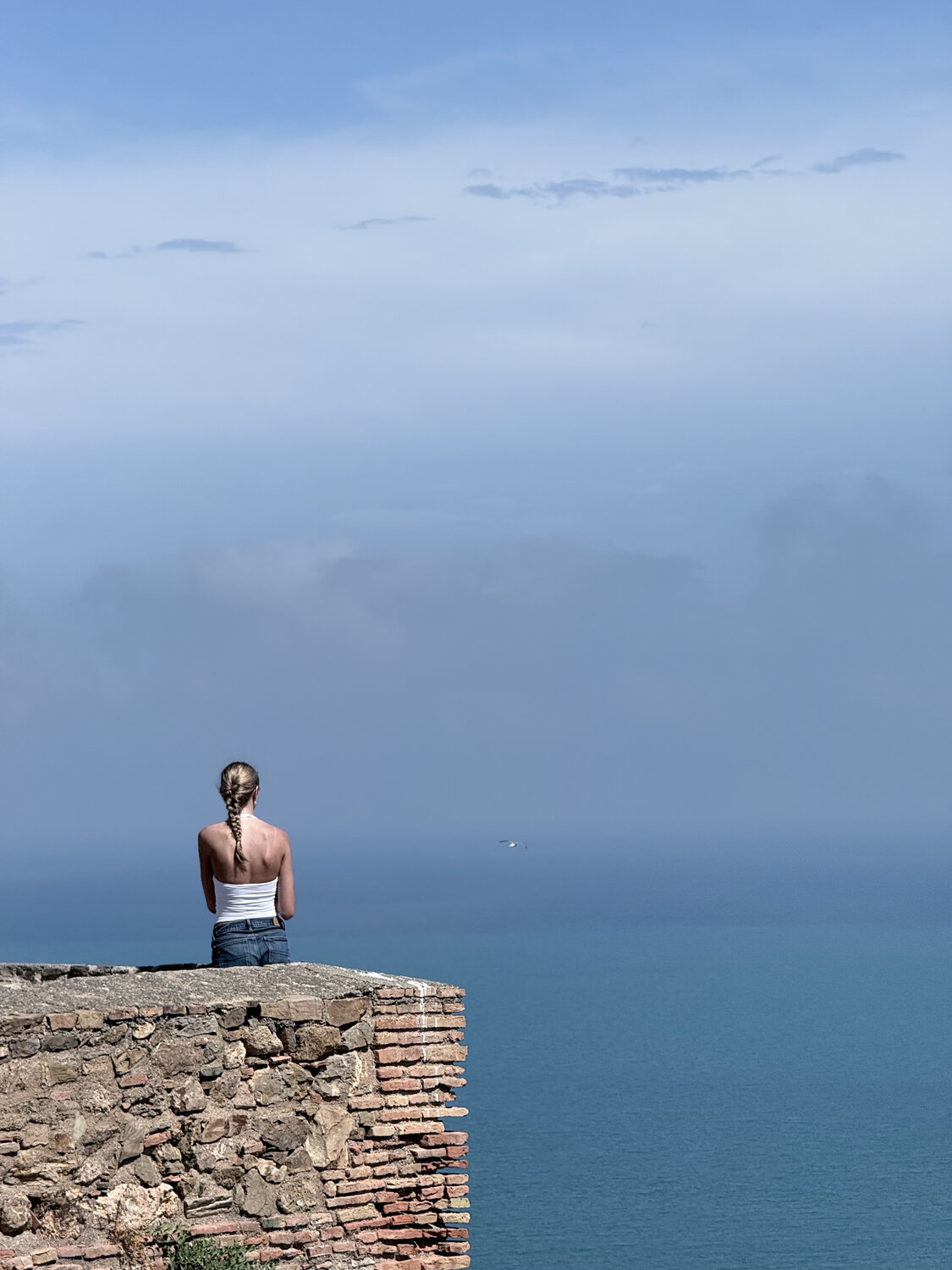 Photo #14185341