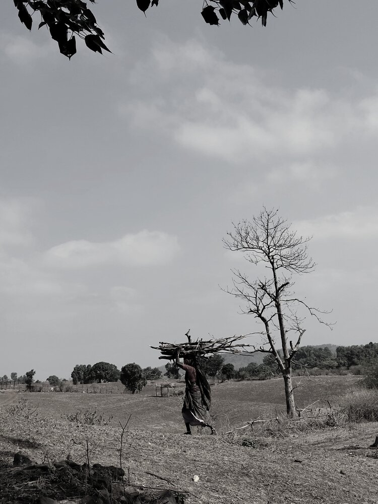 The Weight of Survival