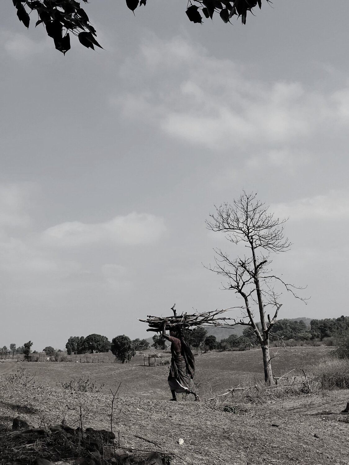 The Weight of Survival