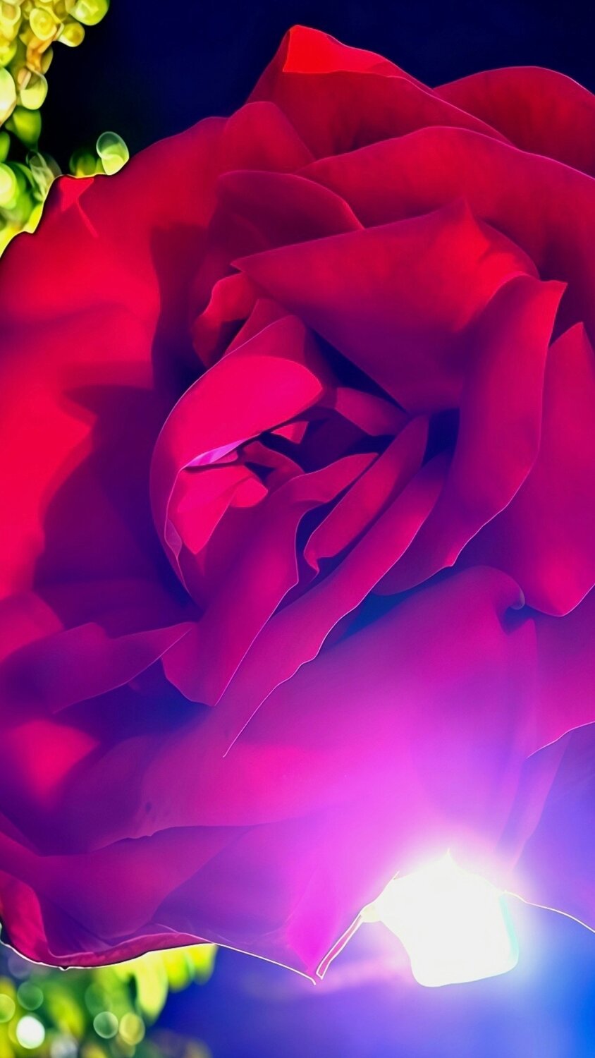 Luminous Love