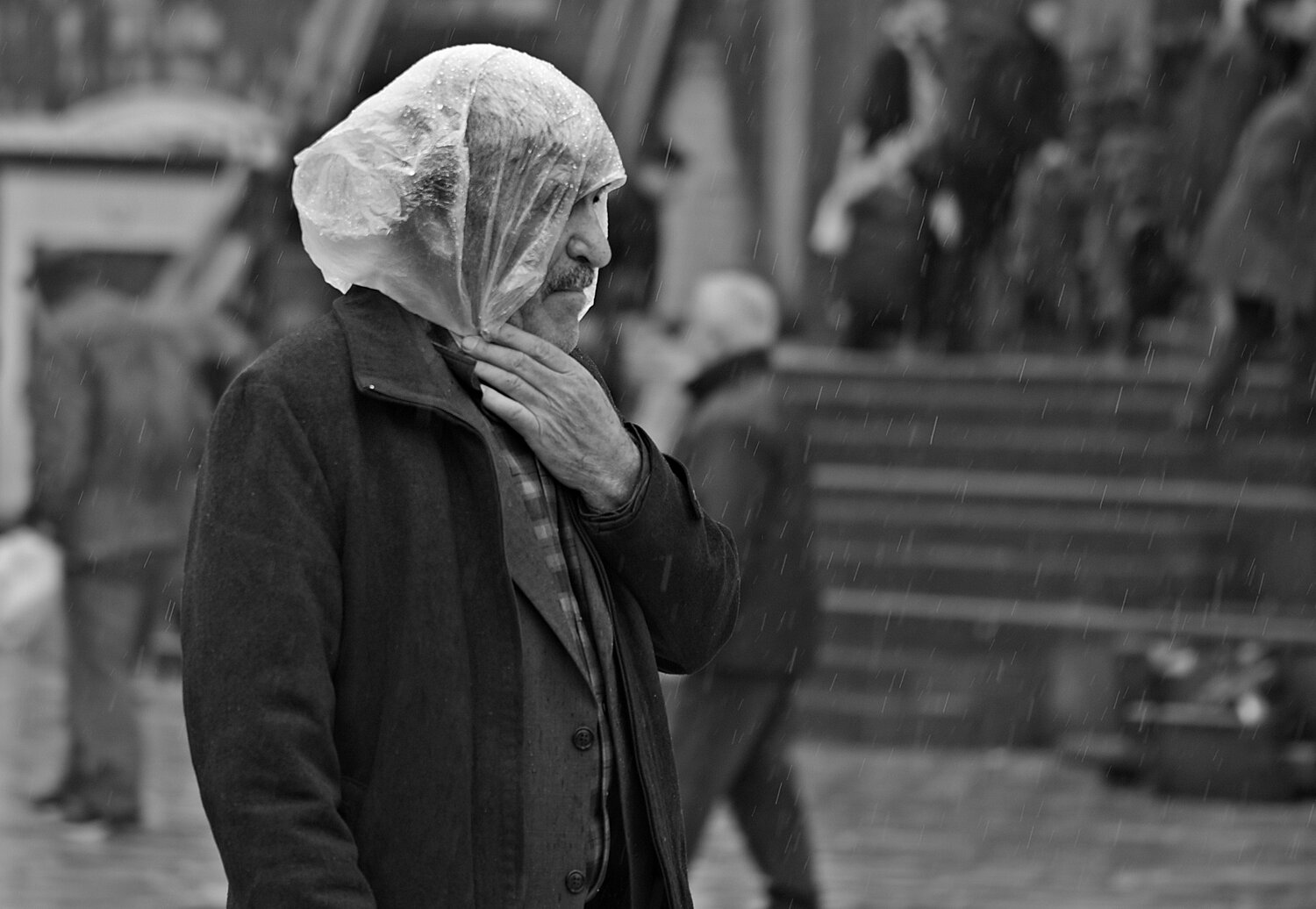 Photo #14186060