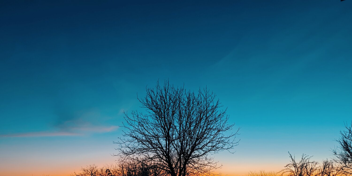 Photo #14186247