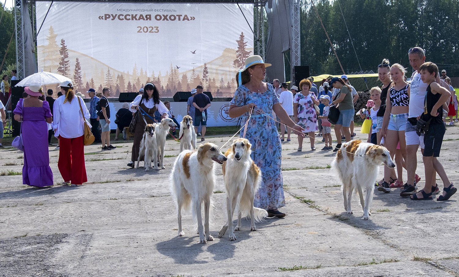 Фотография #14186259