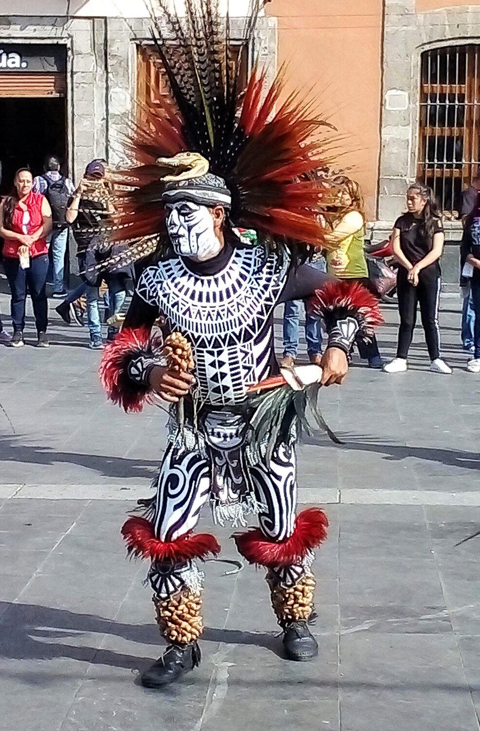 Photo #14186284