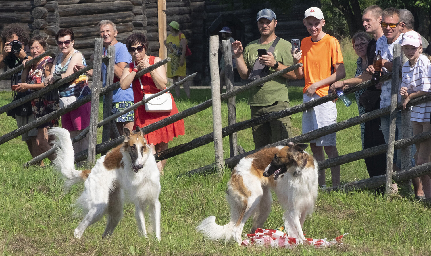 Photo #14186337