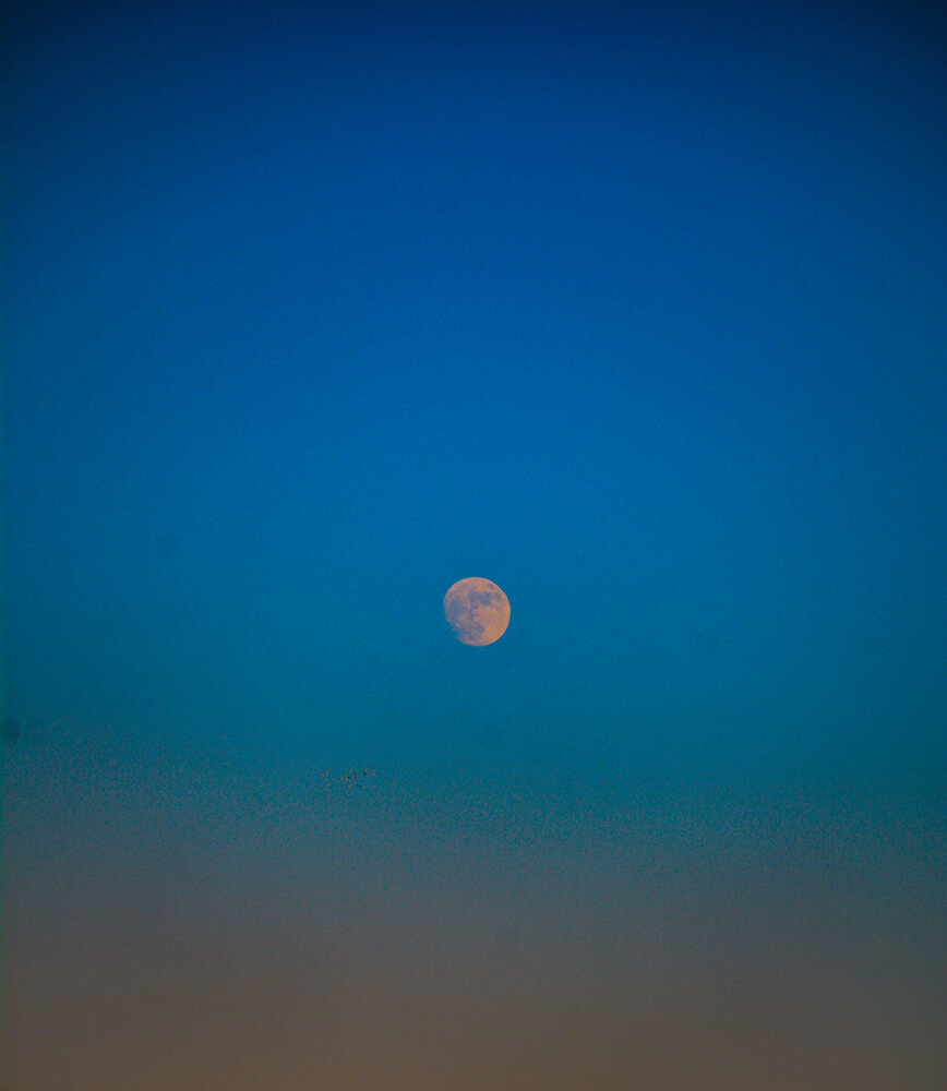 Photograph by Massoud Mahmoud