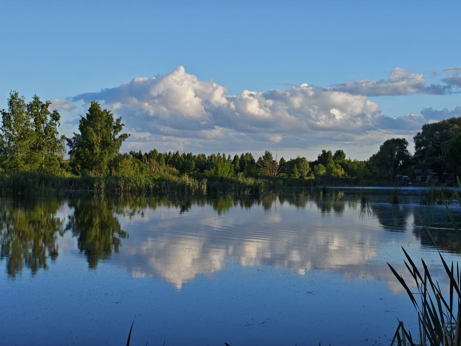 Photo #14186588