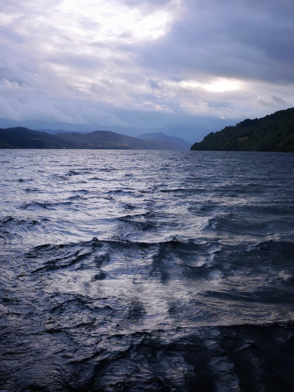 Photo #14186696