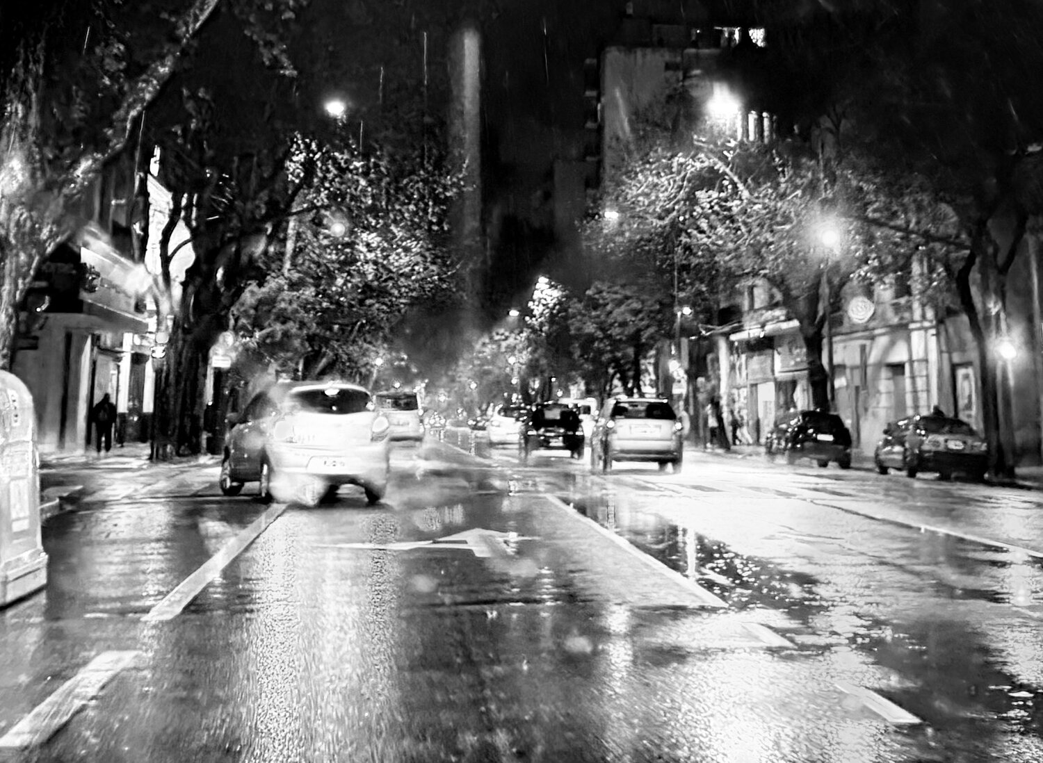 Photo #14186758
