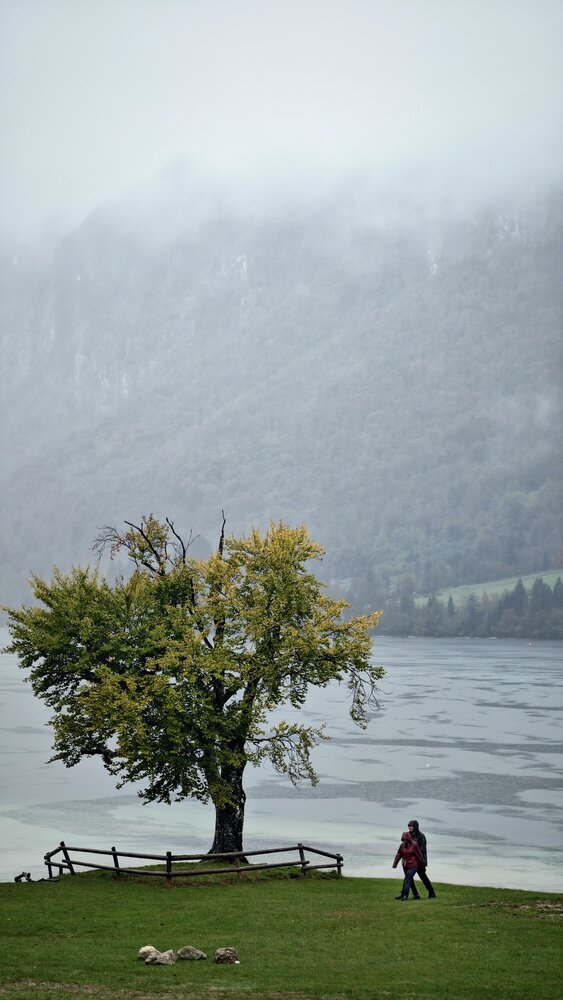 Lost in the mist, found in the moment