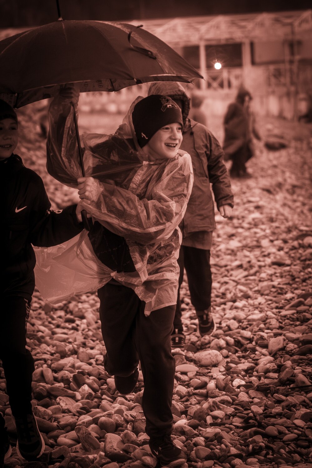 Photo #14187575