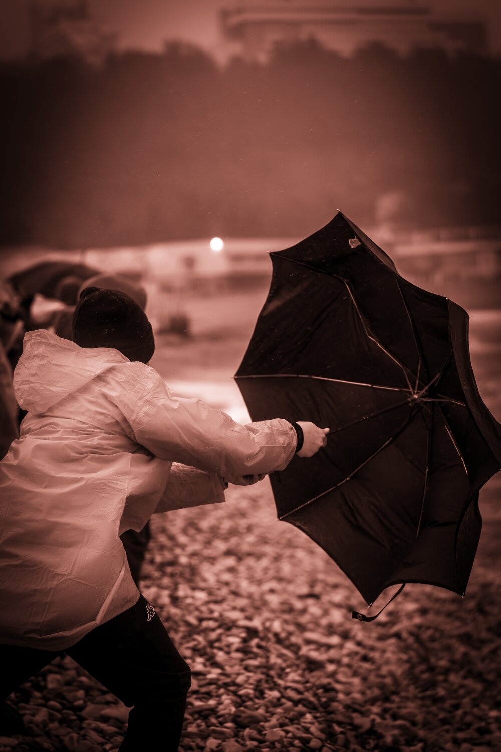 Photo #14187576