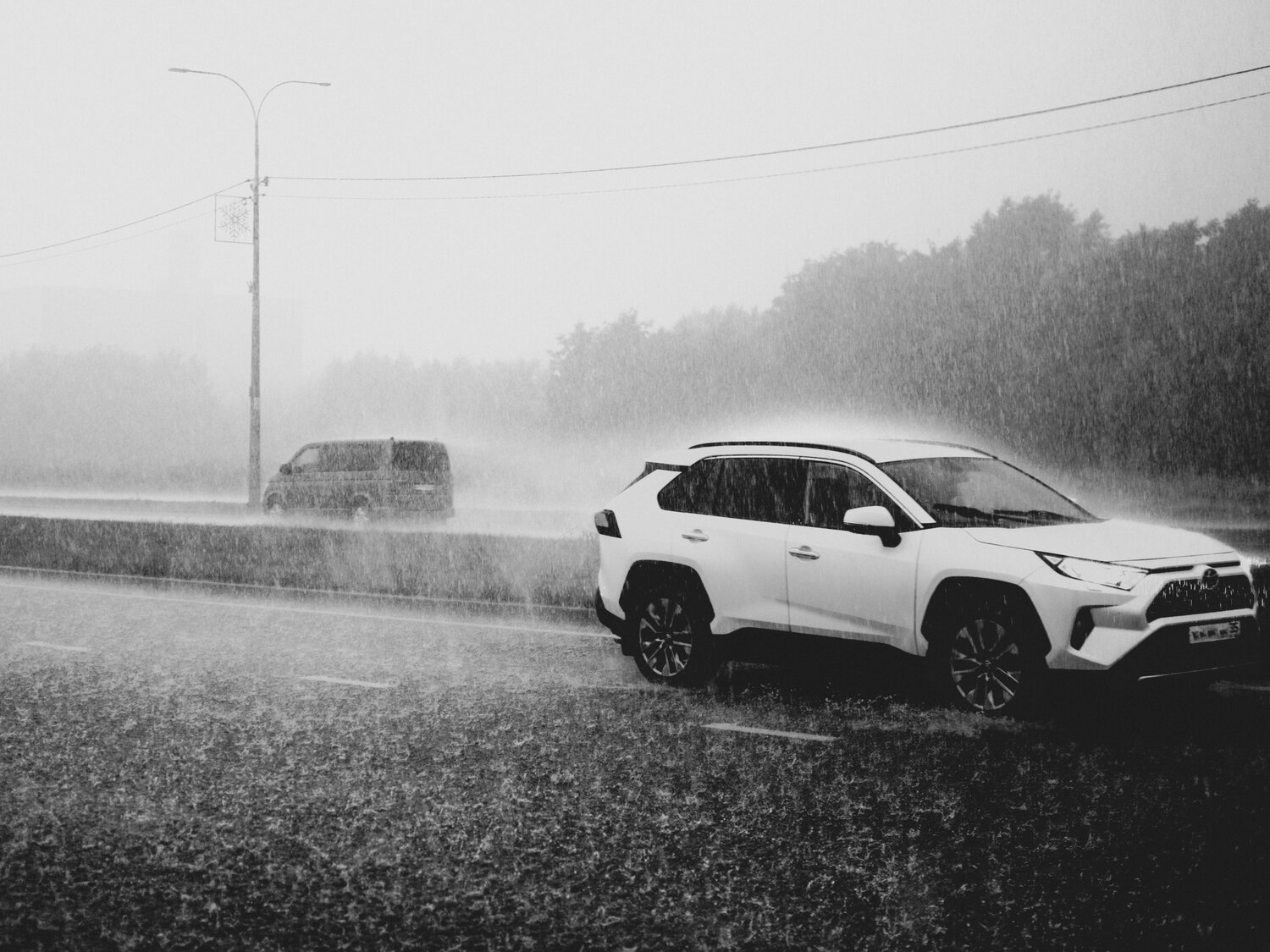 Photo #14187579