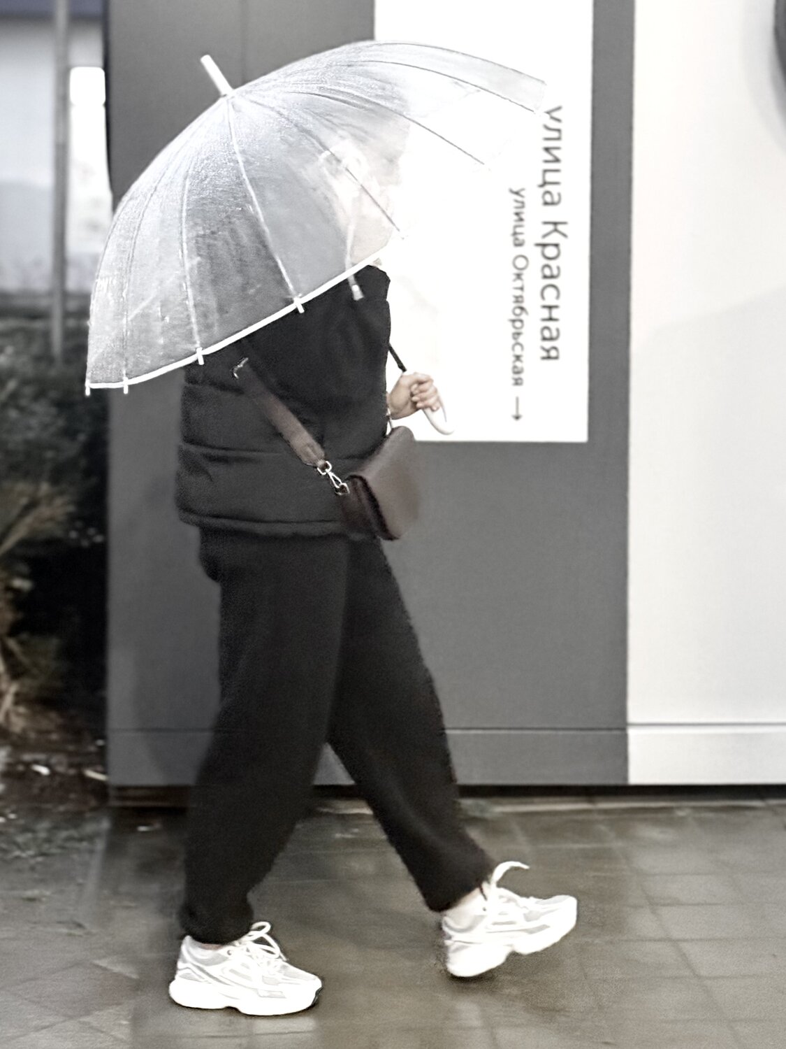 Photo #14187724
