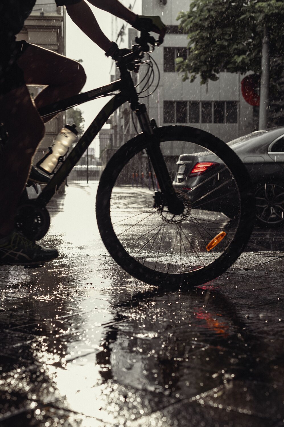 Photo #14188180
