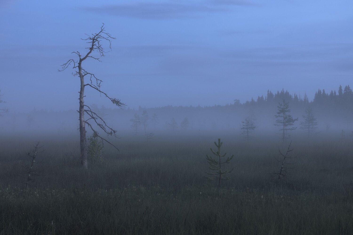 Photo #14188256