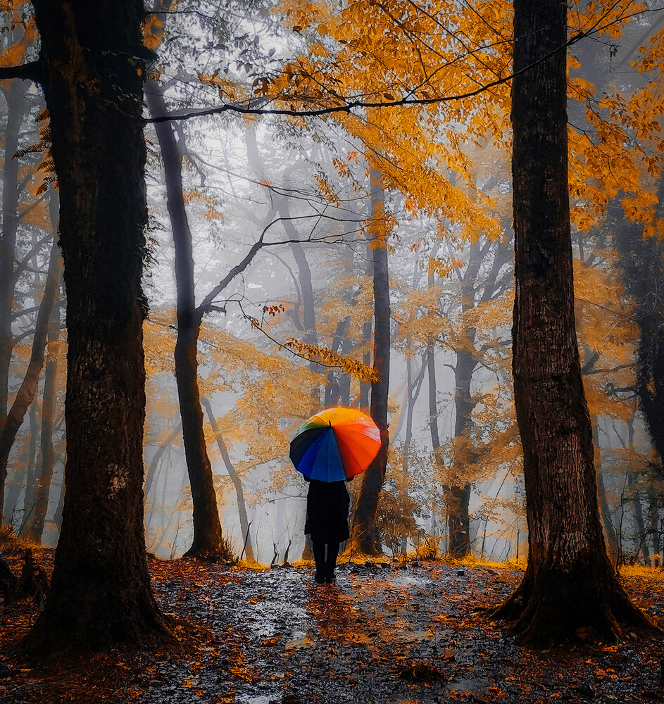 Photograph by mohsen biazar