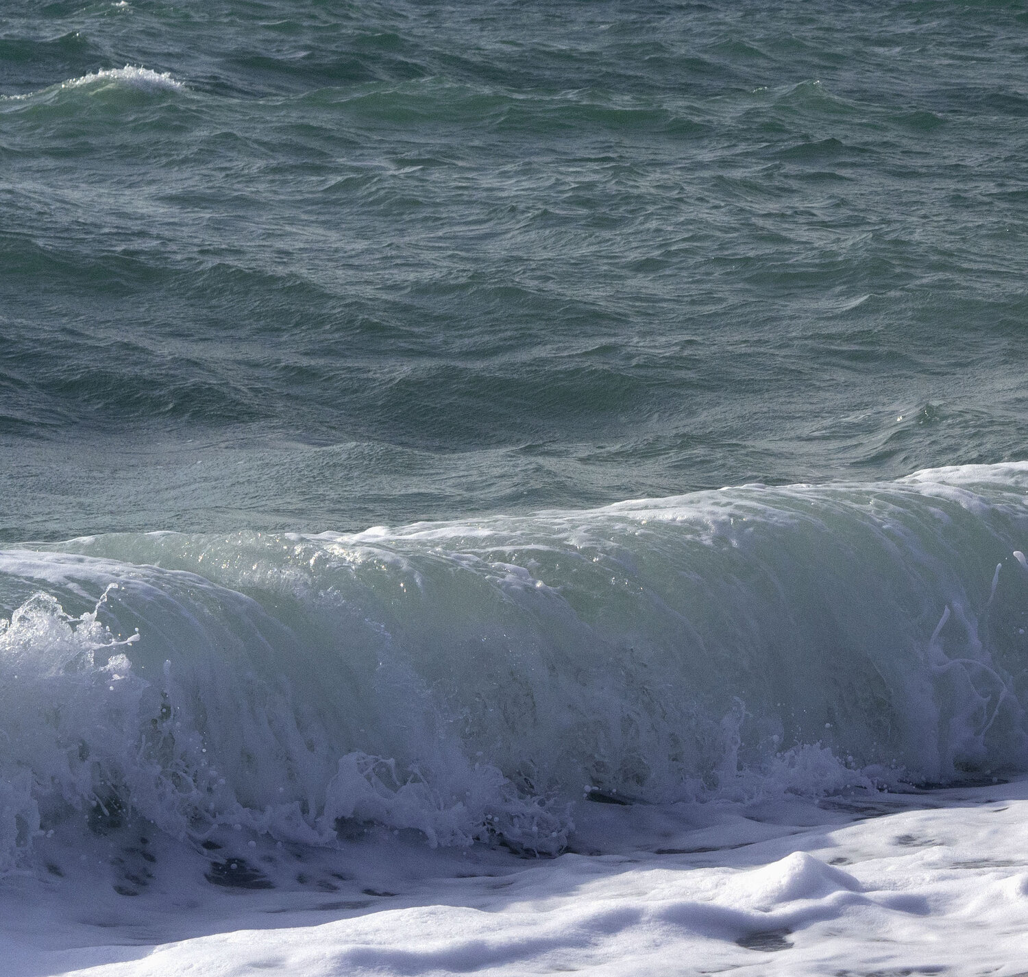 Photo #14188619