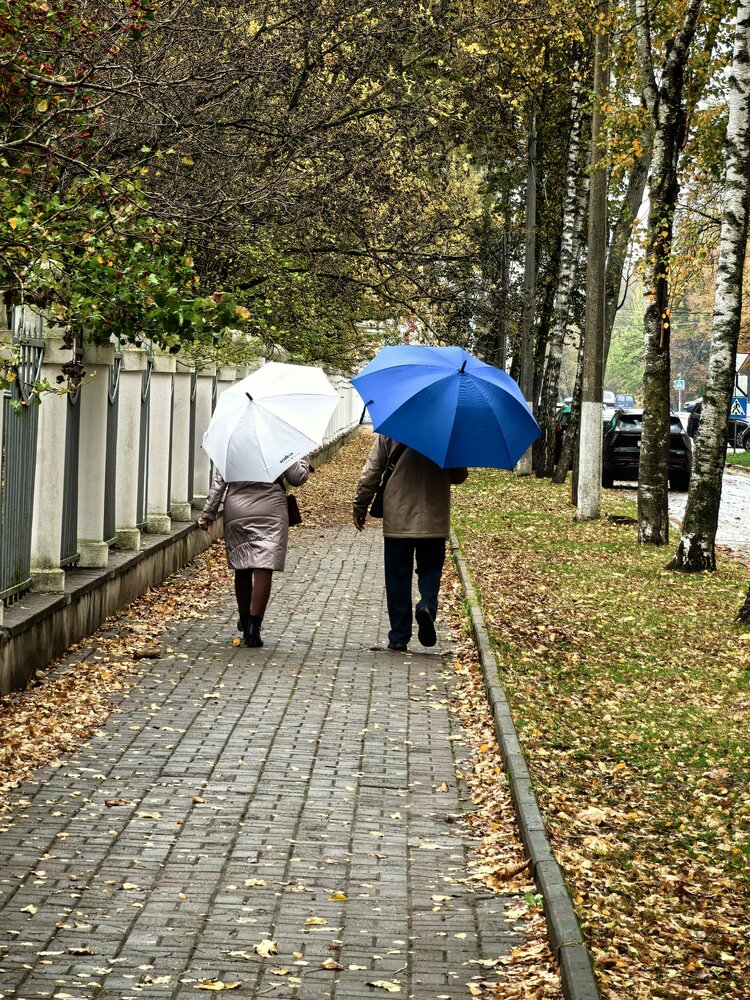 Photograph by Александр Сипаров