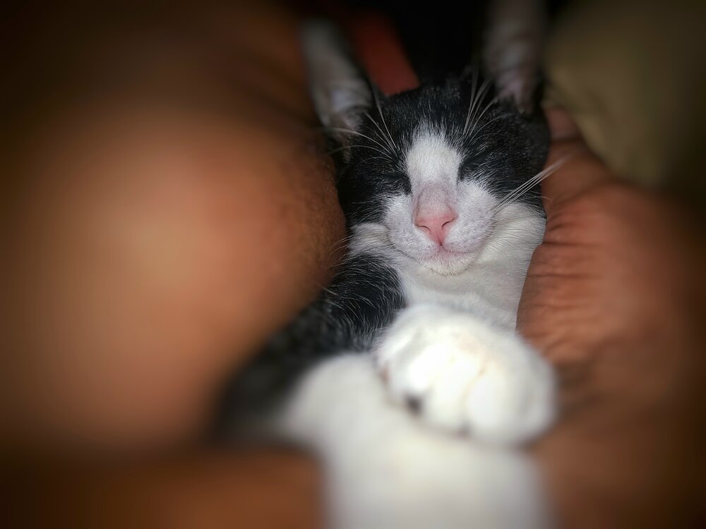 Sleeping