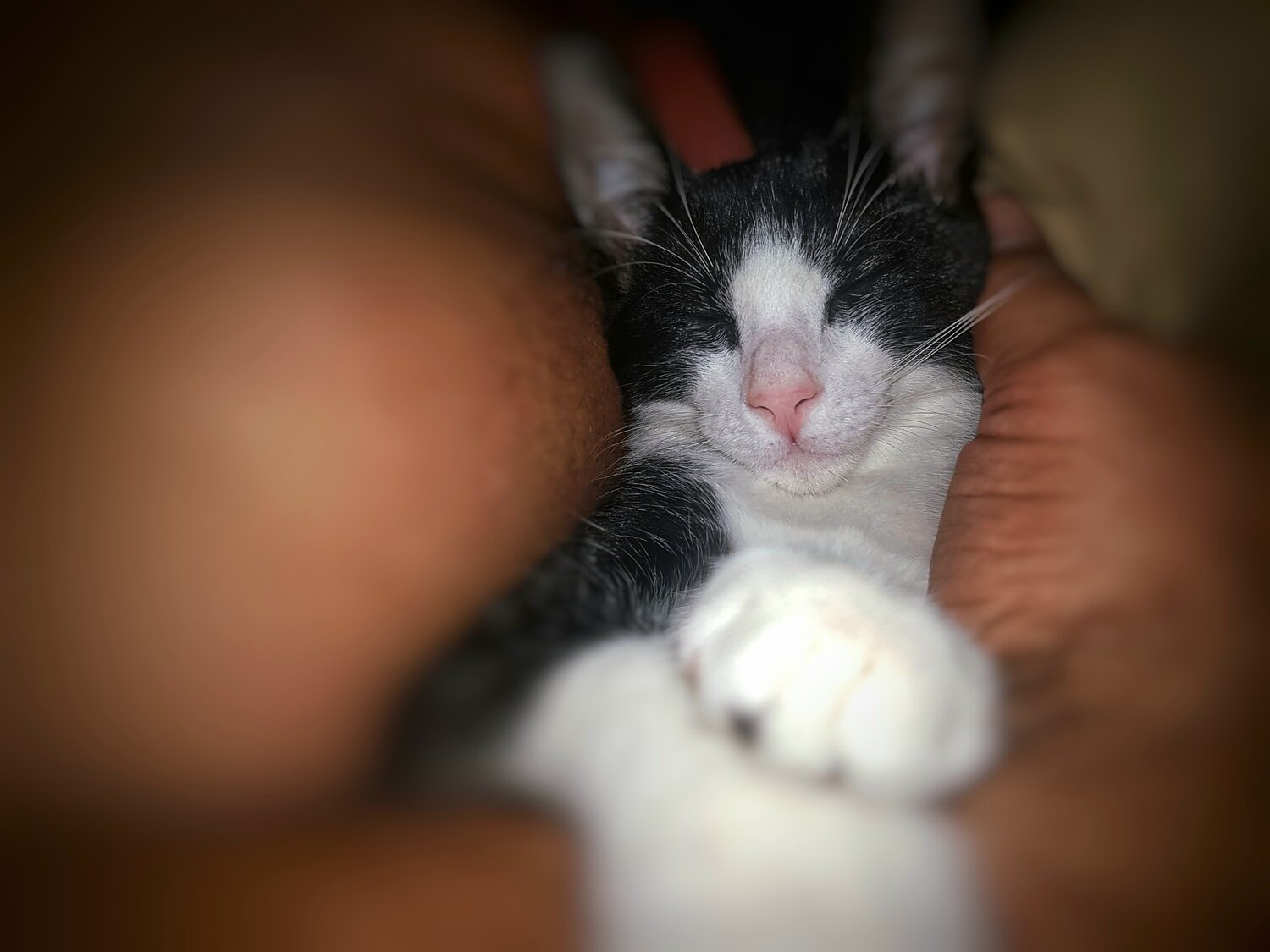 Sleeping