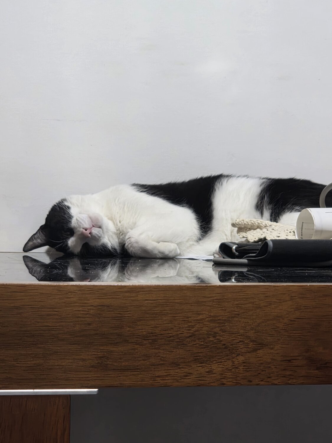 Sleeping at the table
