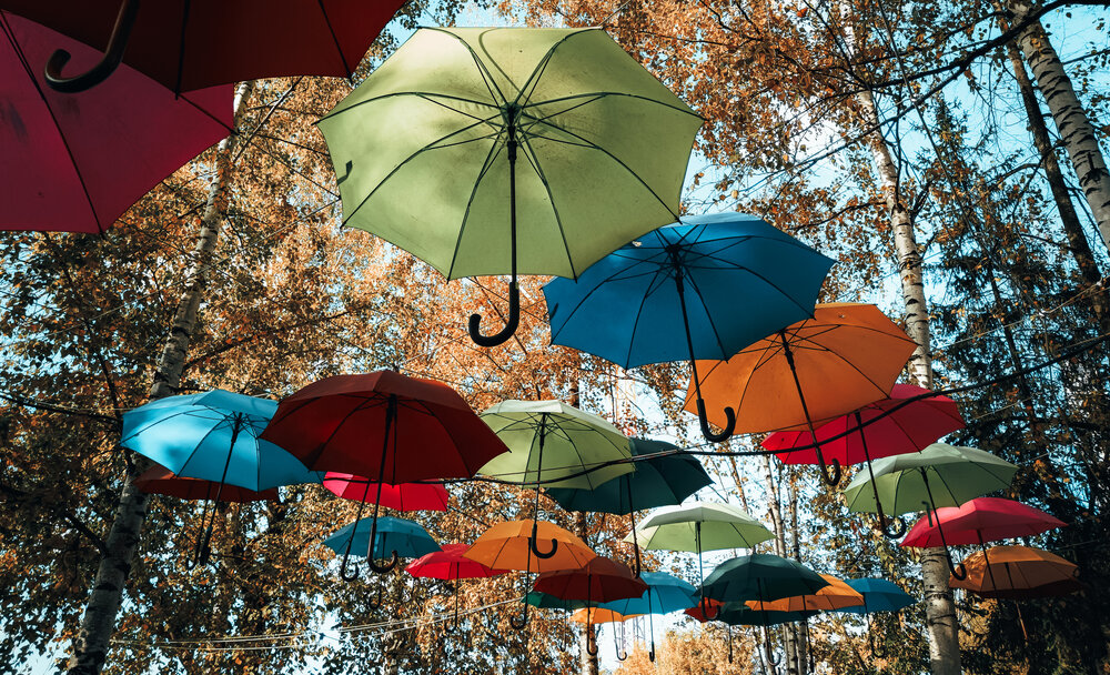 Photograph by Ольга Кунакова