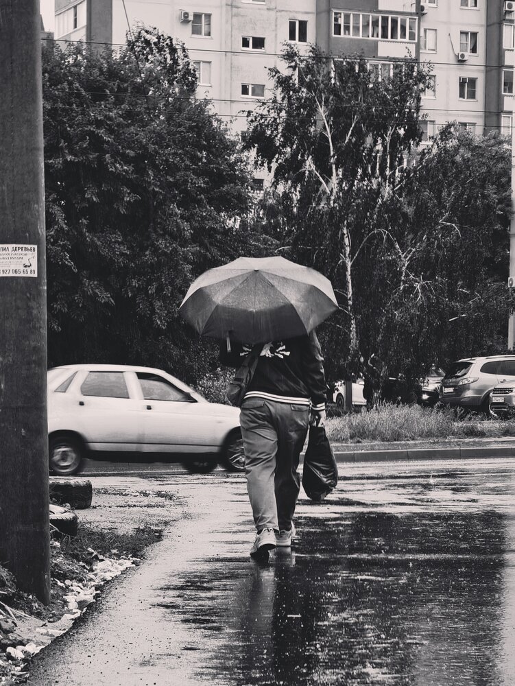 Photograph by Елена Оборник