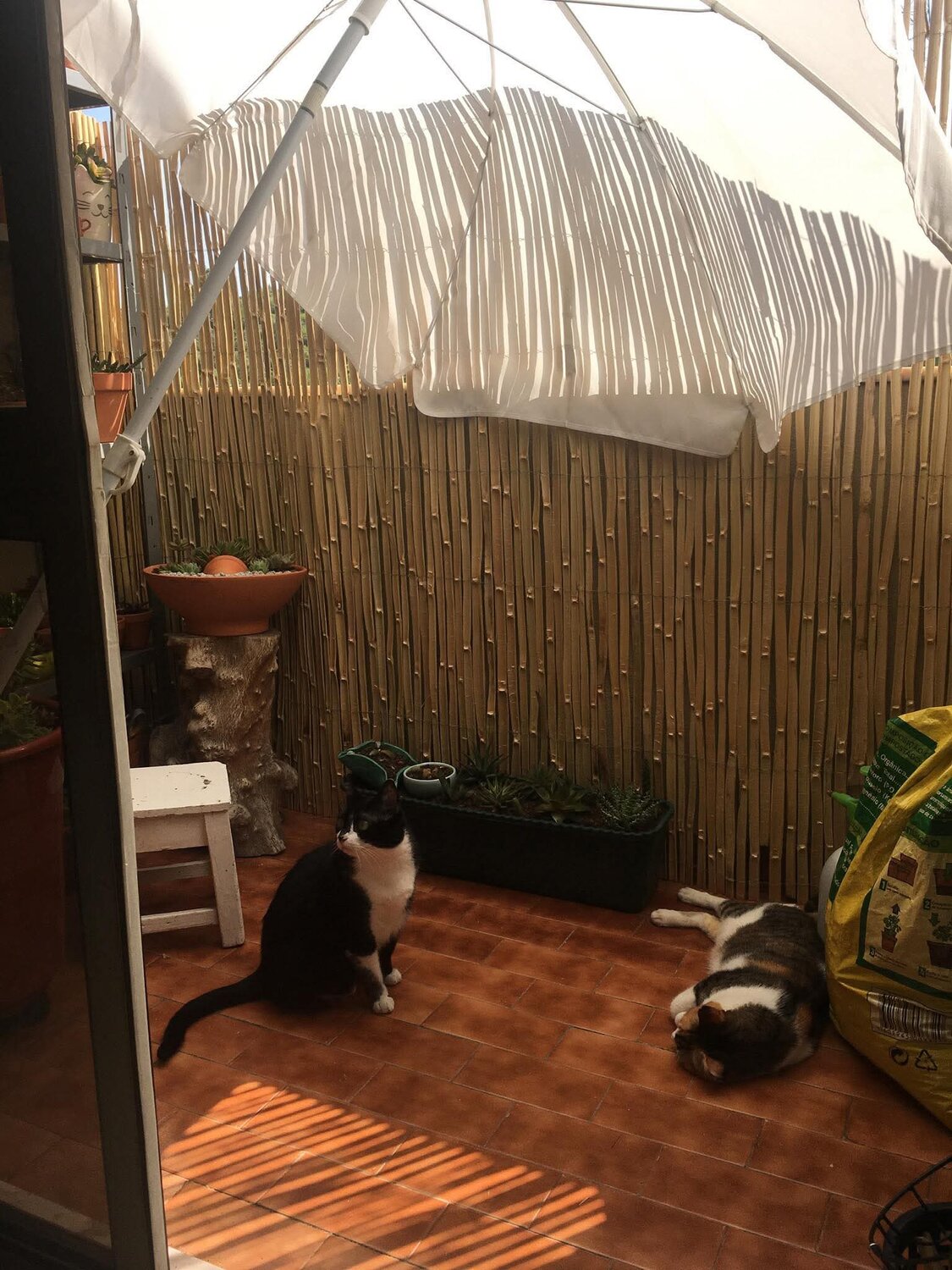 Photo #14189622