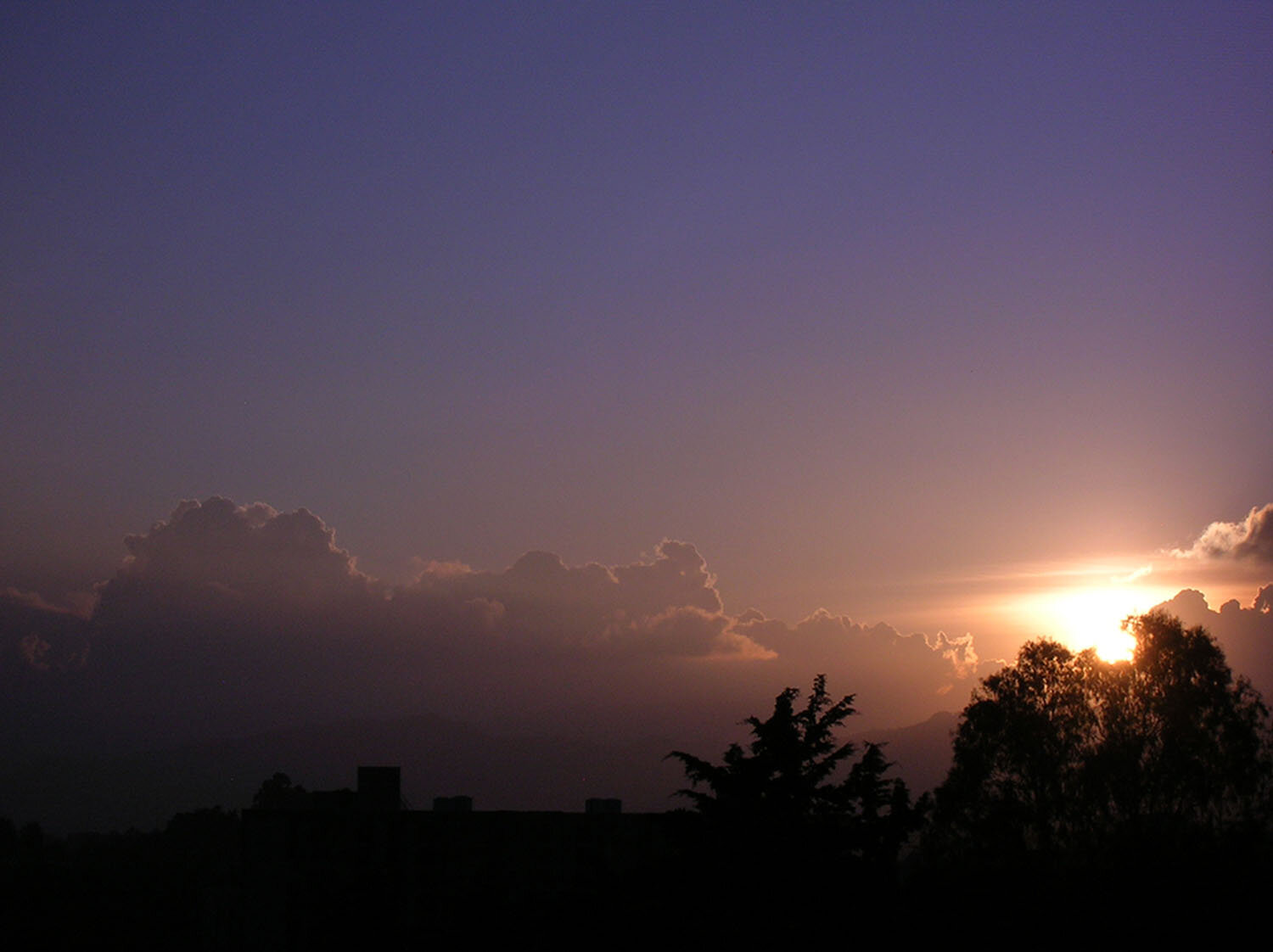 Photo #14189852