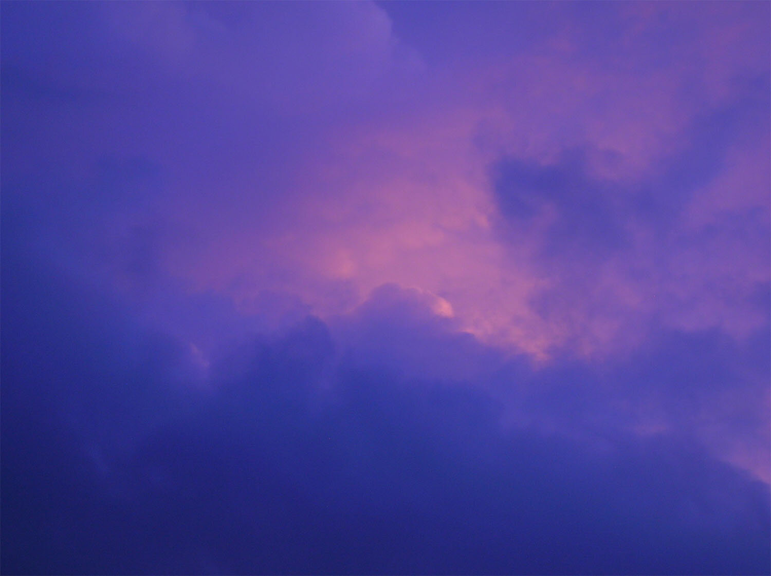 Photo #14189853