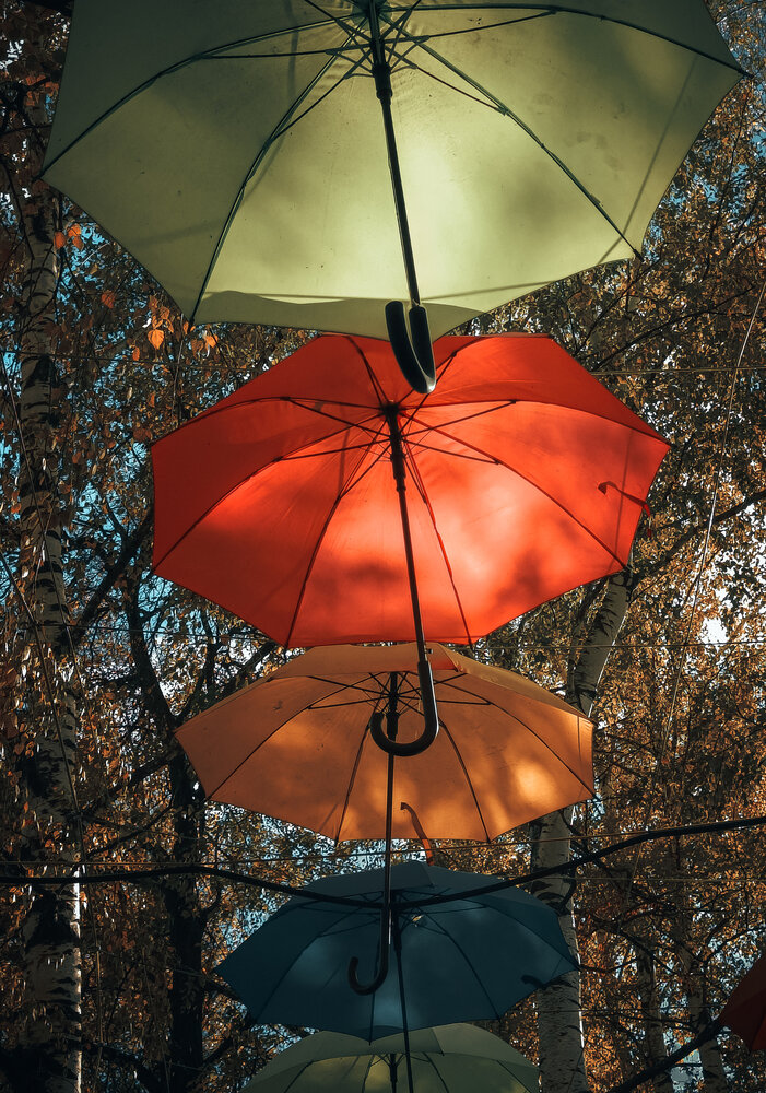 Photograph by Ольга Кунакова