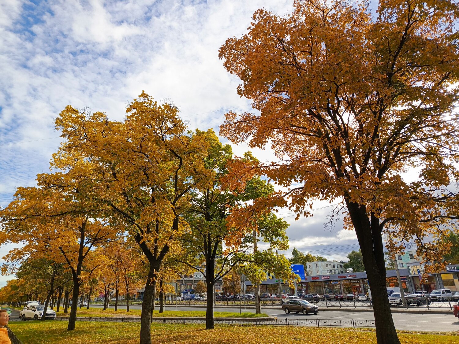 Краски осени