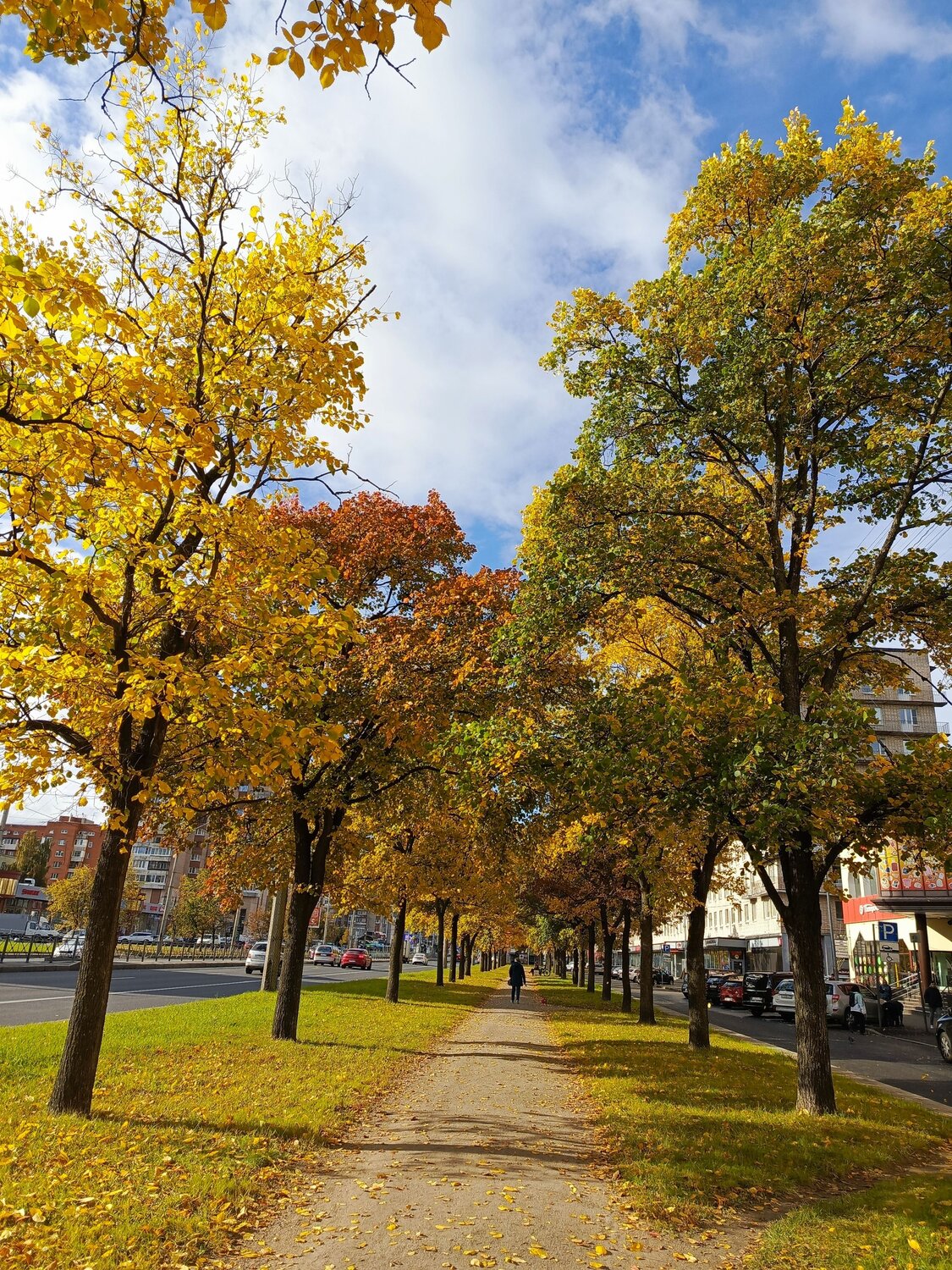 Петербург, городской парк