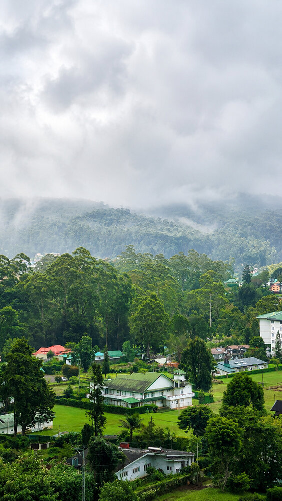 Whispers of the Green Highlands