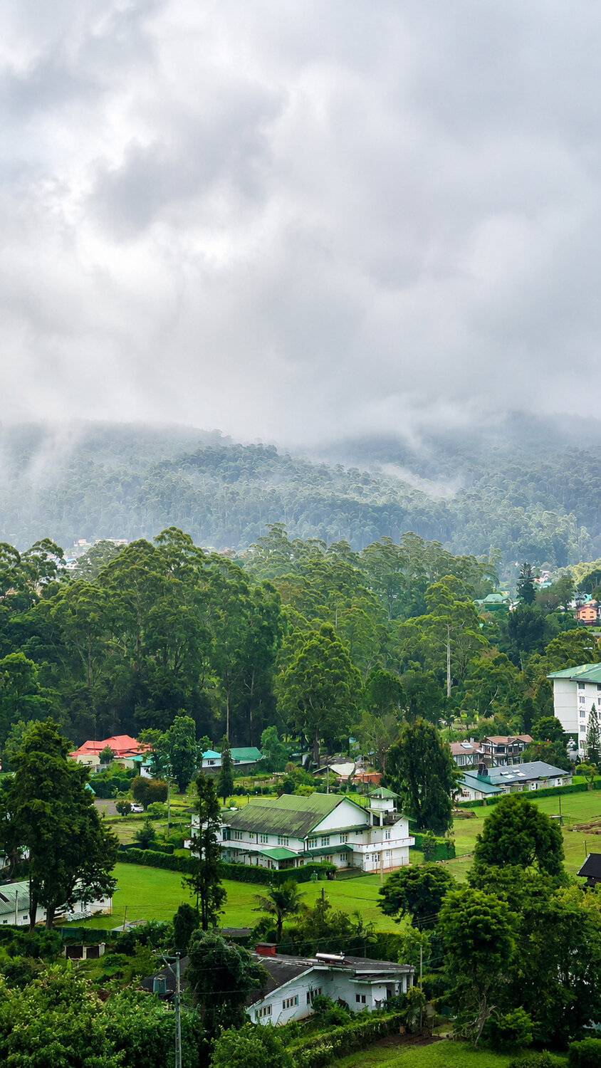 Whispers of the Green Highlands