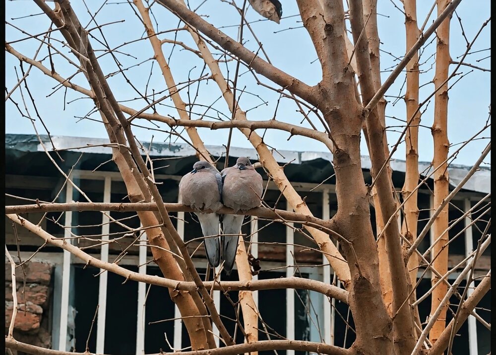 Together