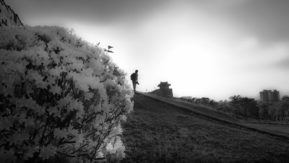 SUWON- A JOURNEY BEYOND THE ORDINARY