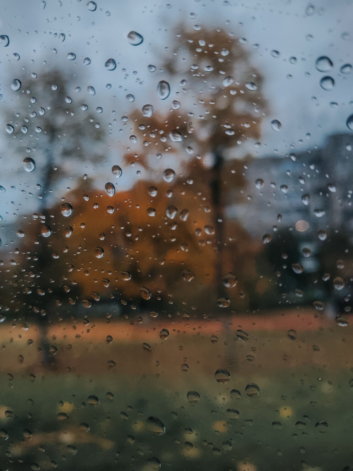 Photo #14191123