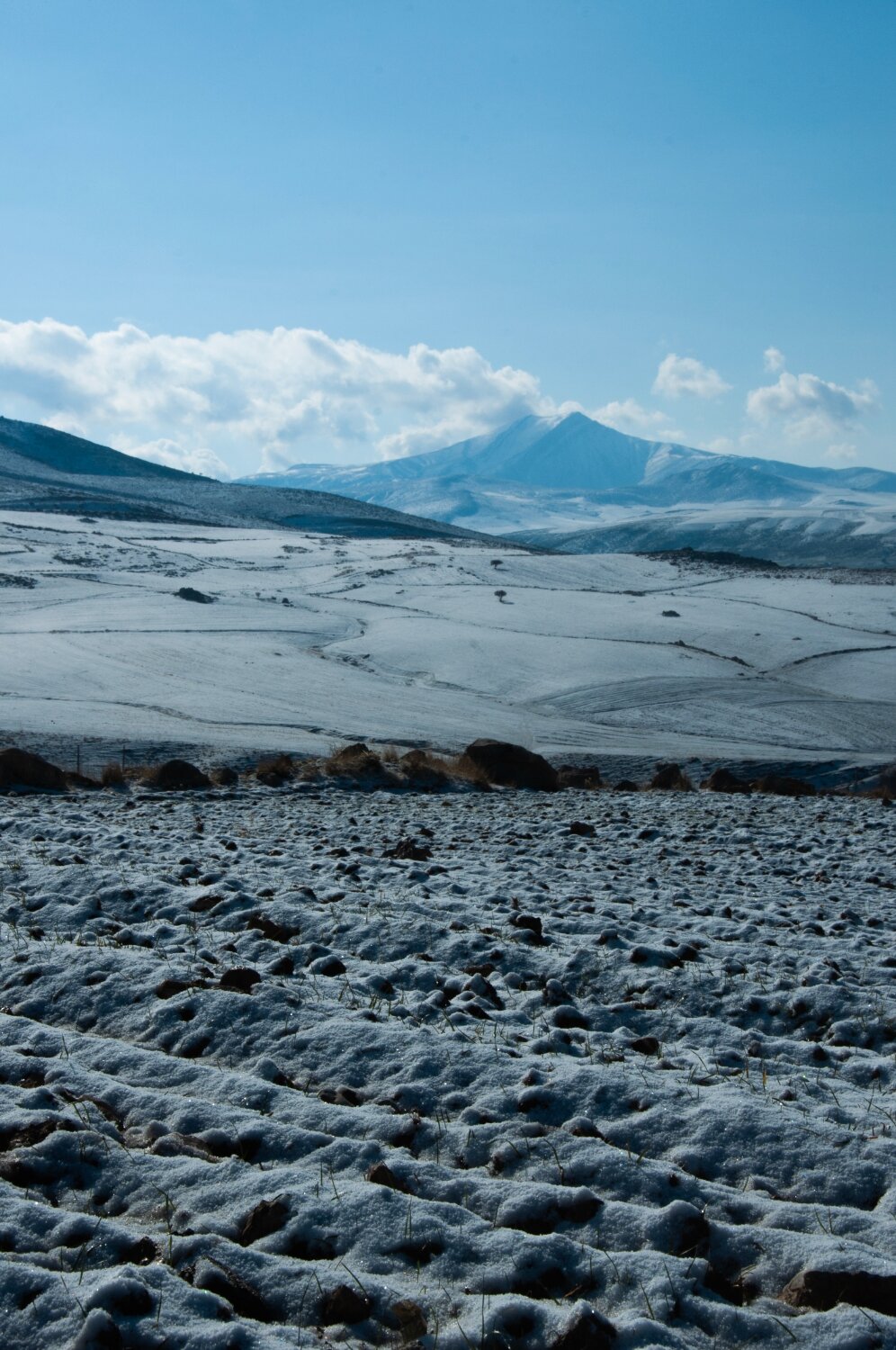 MOUNTAIN SNOWY