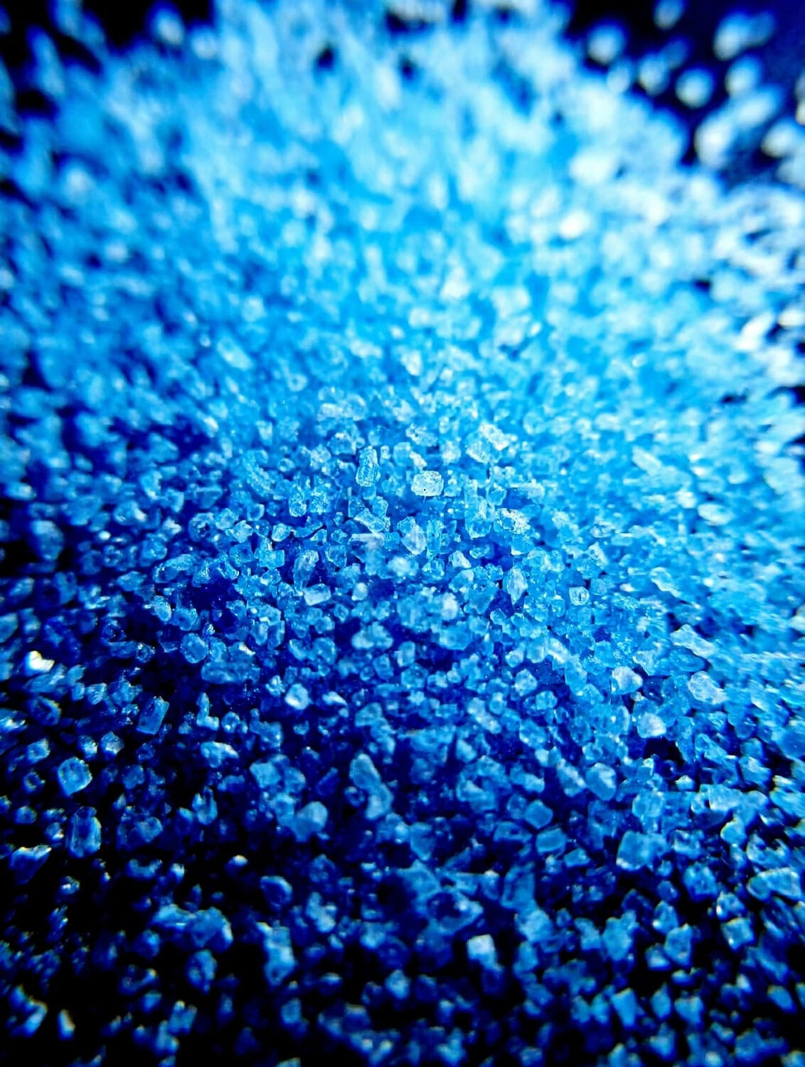 Photo #14191876