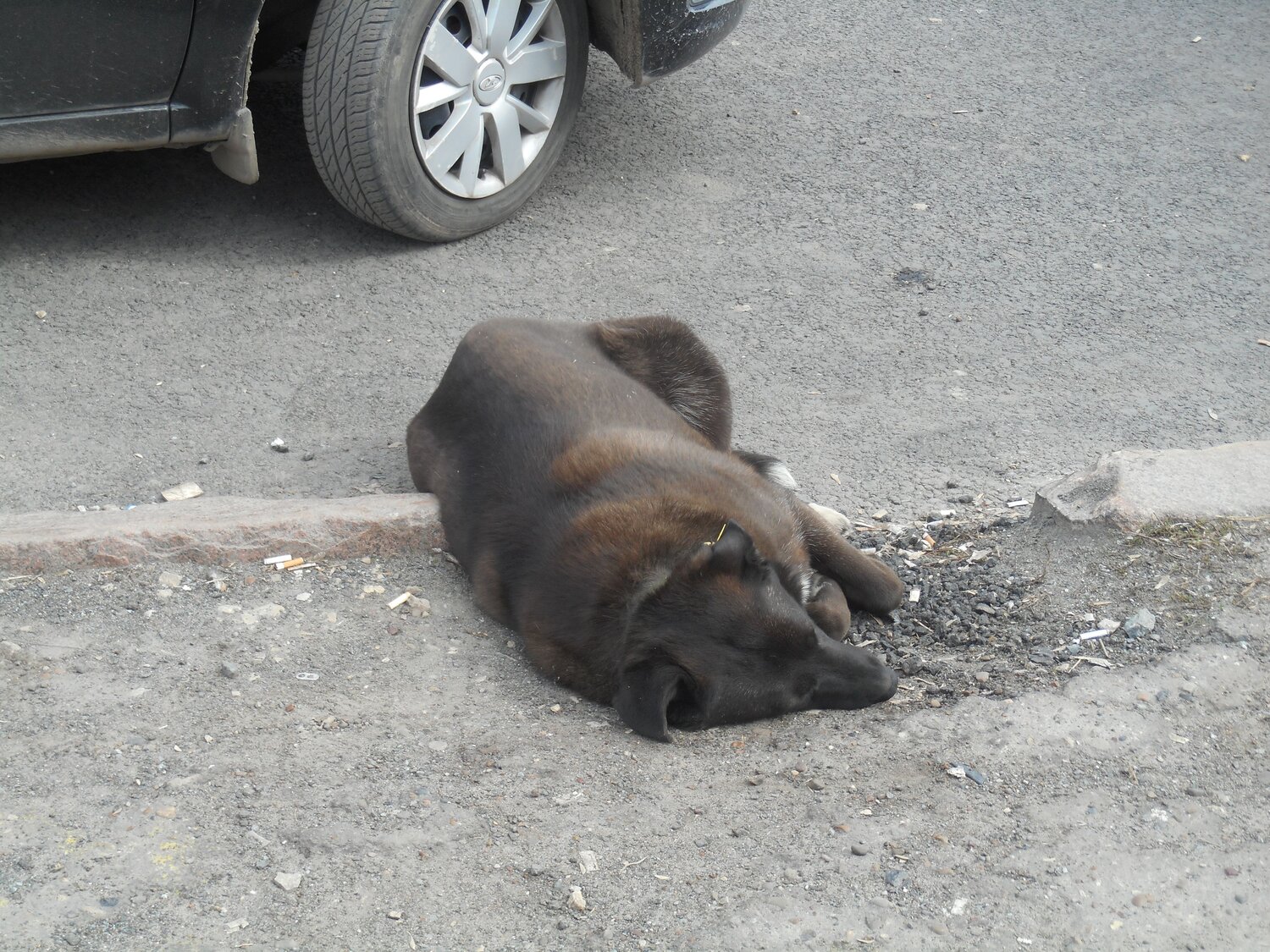 Photo #14192254