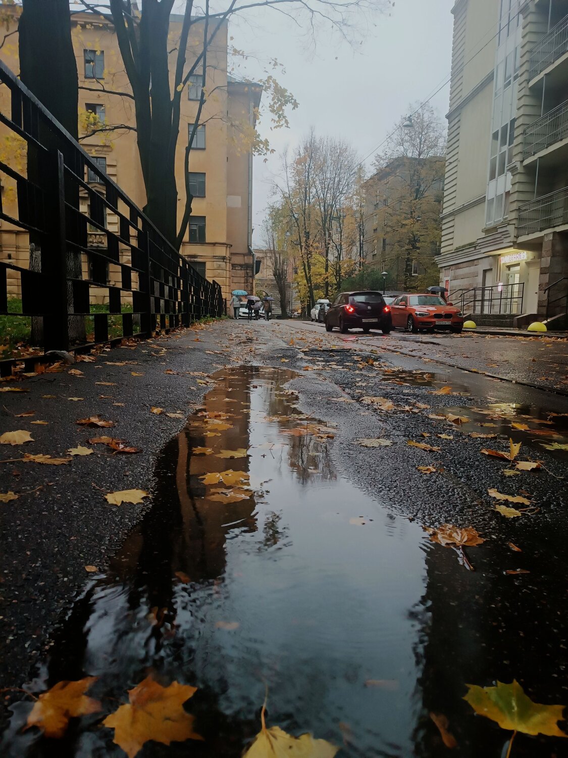 Фотография #14192596