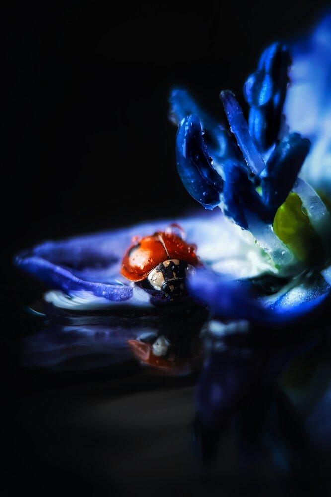 Photograph by Yuliya Karpova