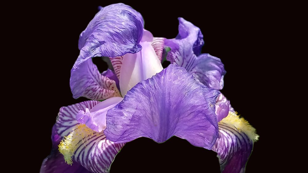 The Threshold of Inner Vision