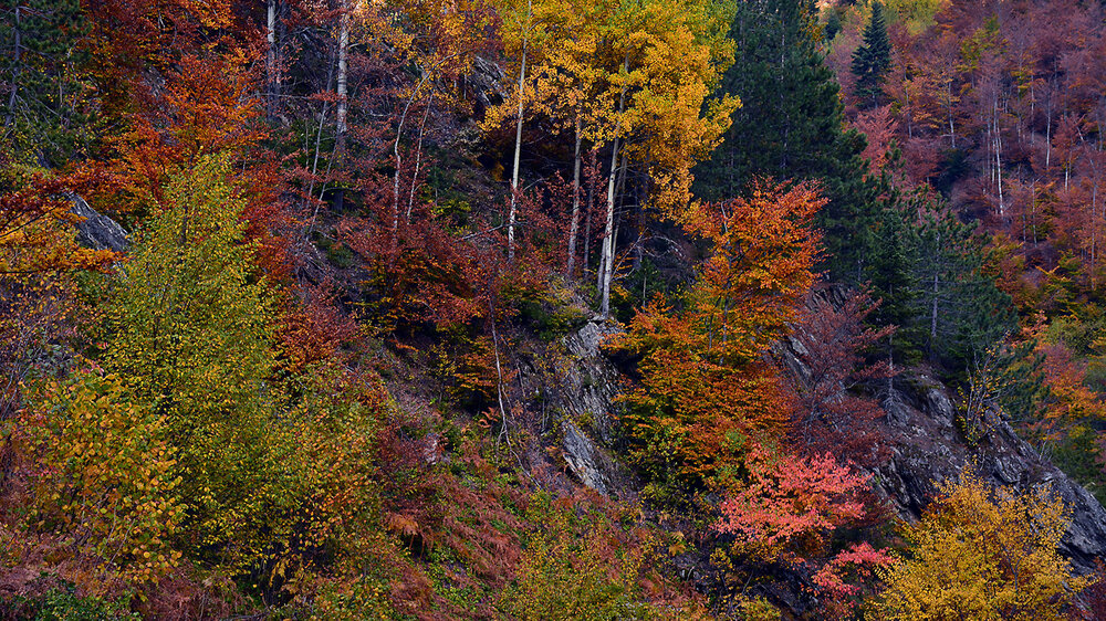 Autumn colors 2