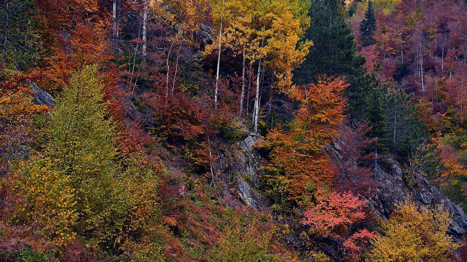 Autumn colors 2