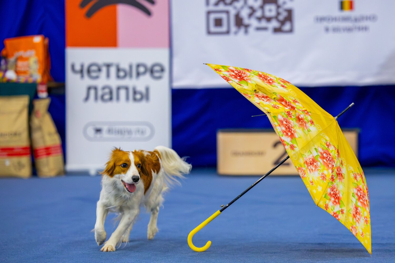 Фотография #14192894