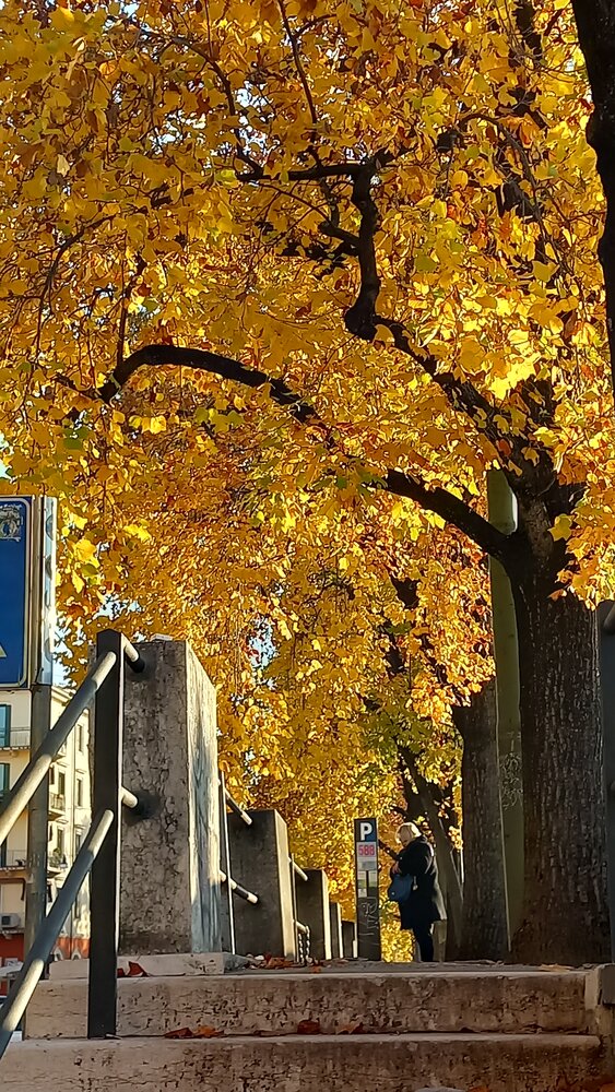 Under the Golden Arch