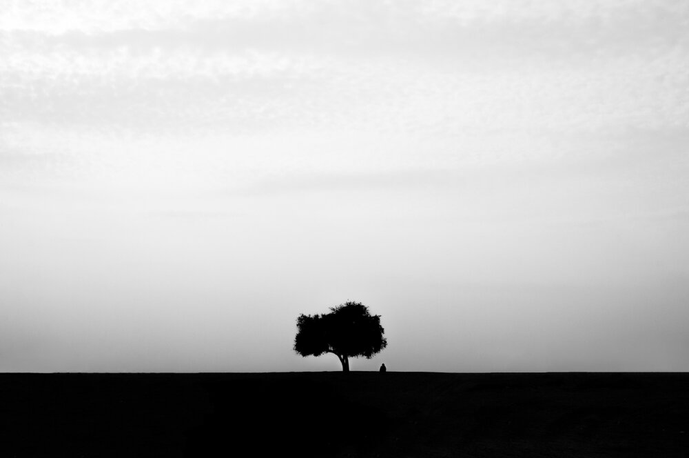 ALONE